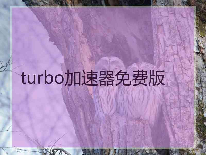 turbo加速器免费版