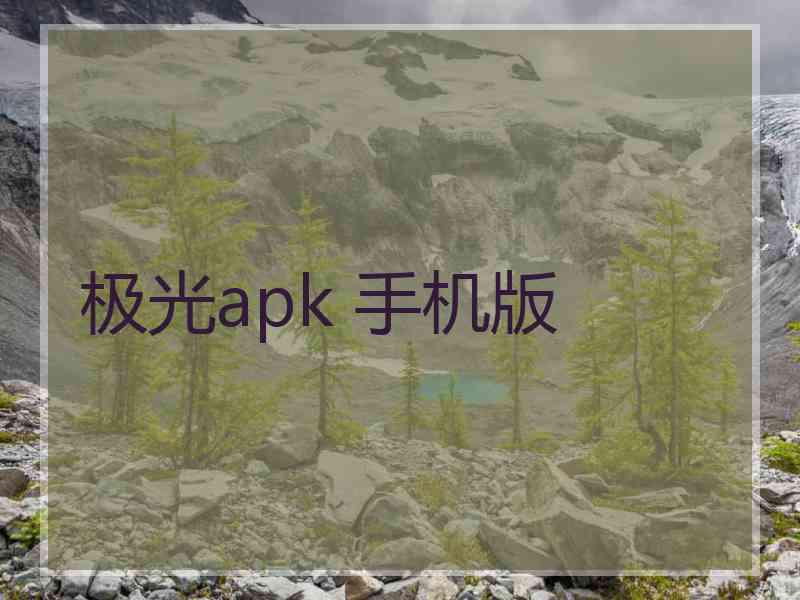 极光apk 手机版