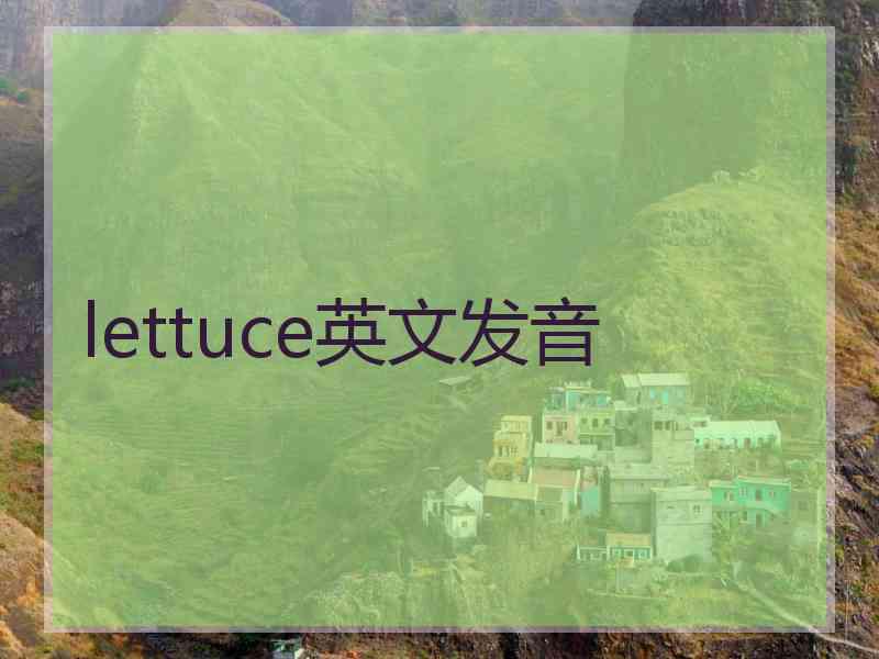 lettuce英文发音