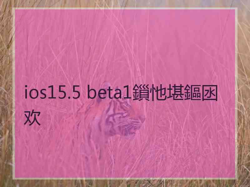 ios15.5 beta1鎻忚堪鏂囦欢