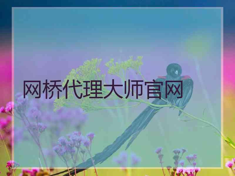 网桥代理大师官网