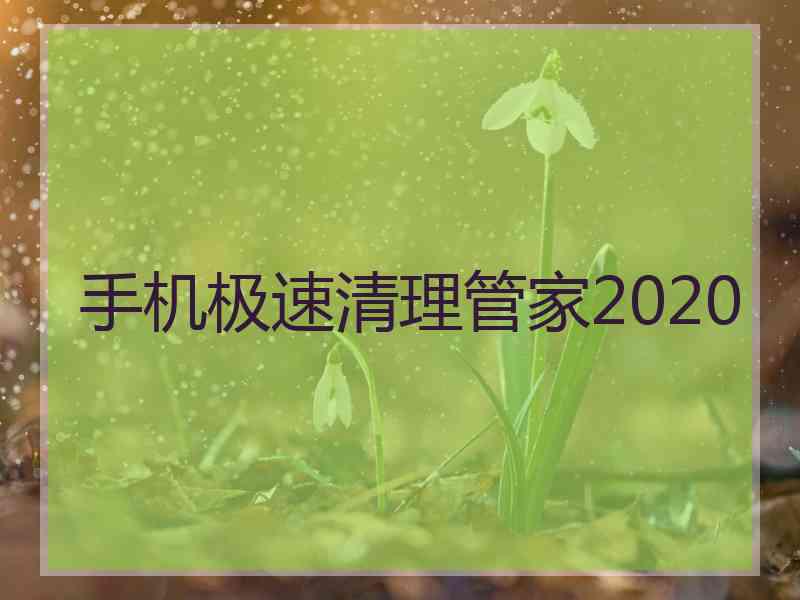 手机极速清理管家2020