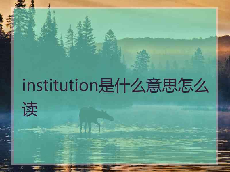 institution是什么意思怎么读