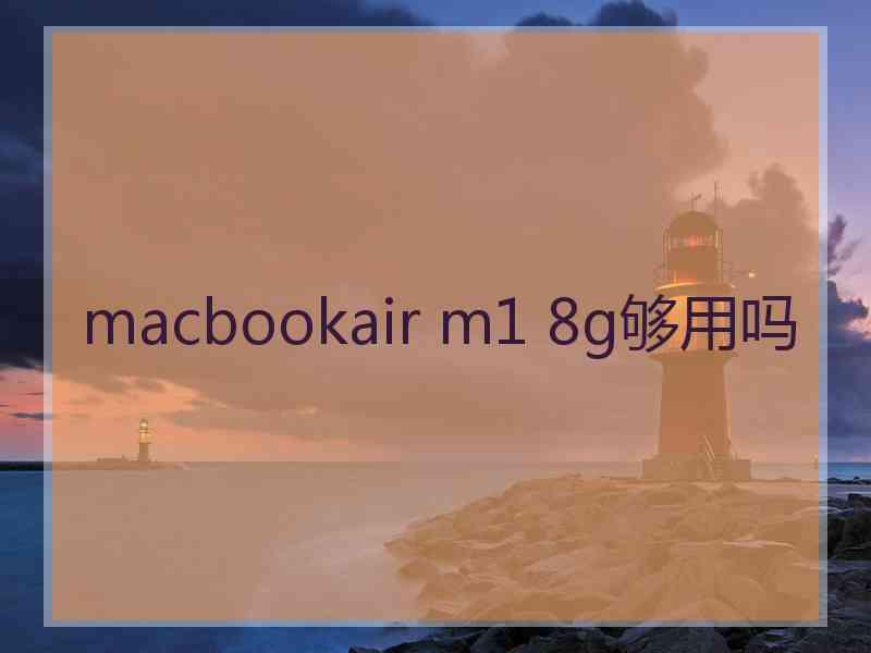 macbookair m1 8g够用吗