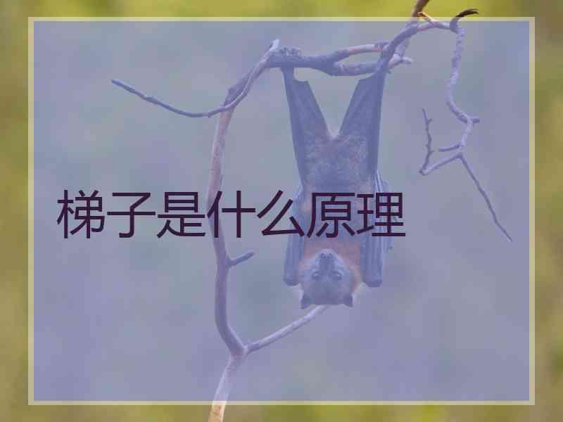 梯子是什么原理