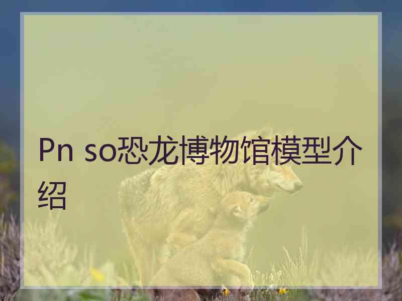 Pn so恐龙博物馆模型介绍