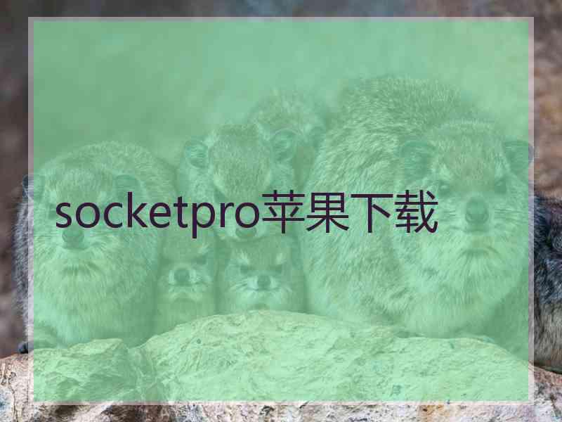 socketpro苹果下载