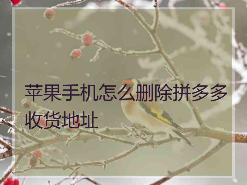 苹果手机怎么删除拼多多收货地址