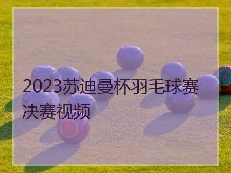 2023苏迪曼杯羽毛球赛决赛视频