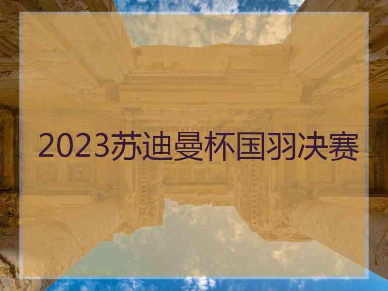 2023苏迪曼杯国羽决赛