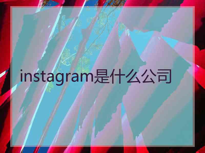 instagram是什么公司