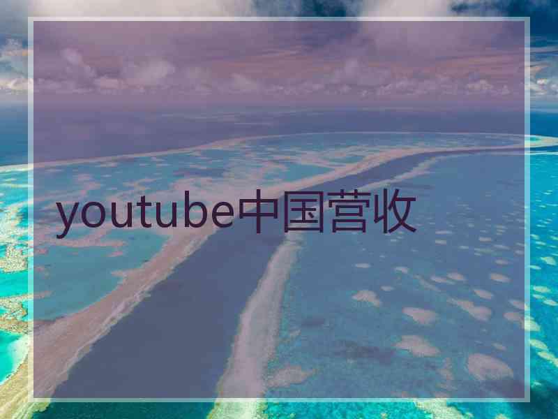 youtube中国营收