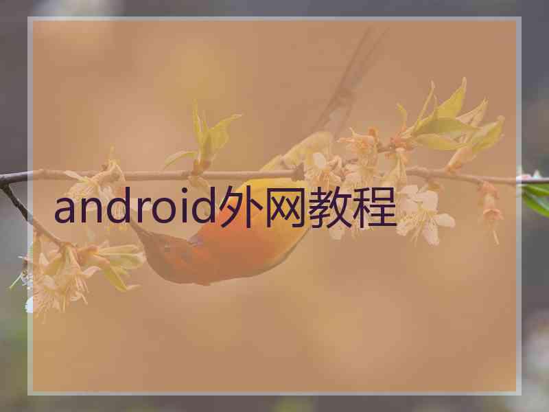 android外网教程