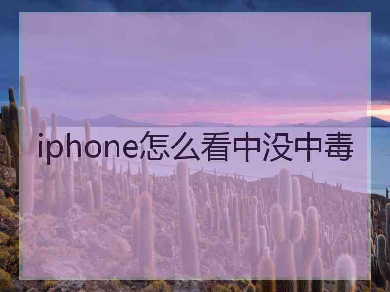 iphone怎么看中没中毒