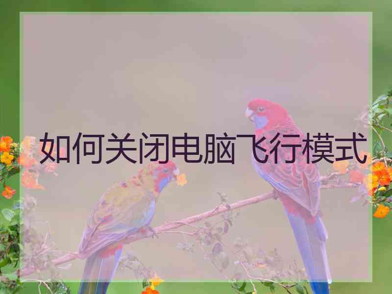 如何关闭电脑飞行模式