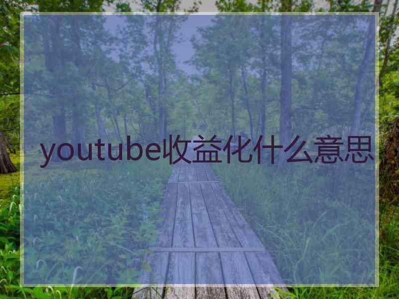 youtube收益化什么意思