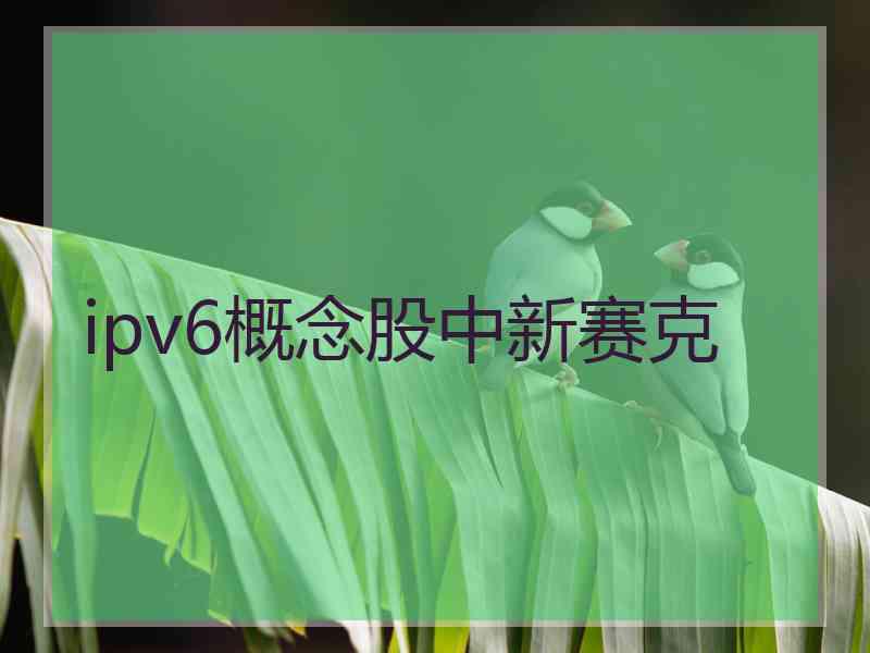 ipv6概念股中新赛克