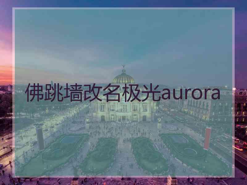 佛跳墙改名极光aurora