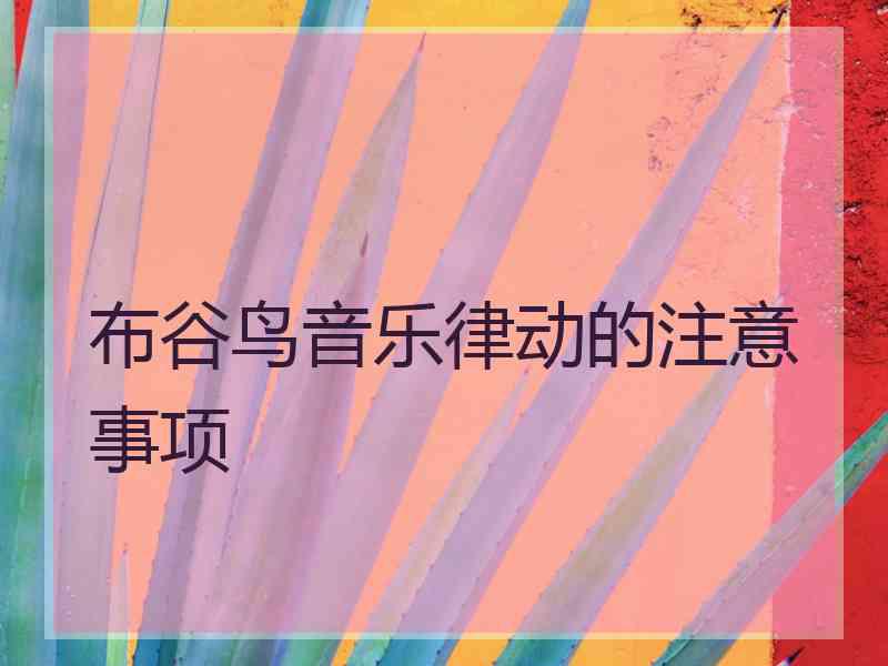 布谷鸟音乐律动的注意事项