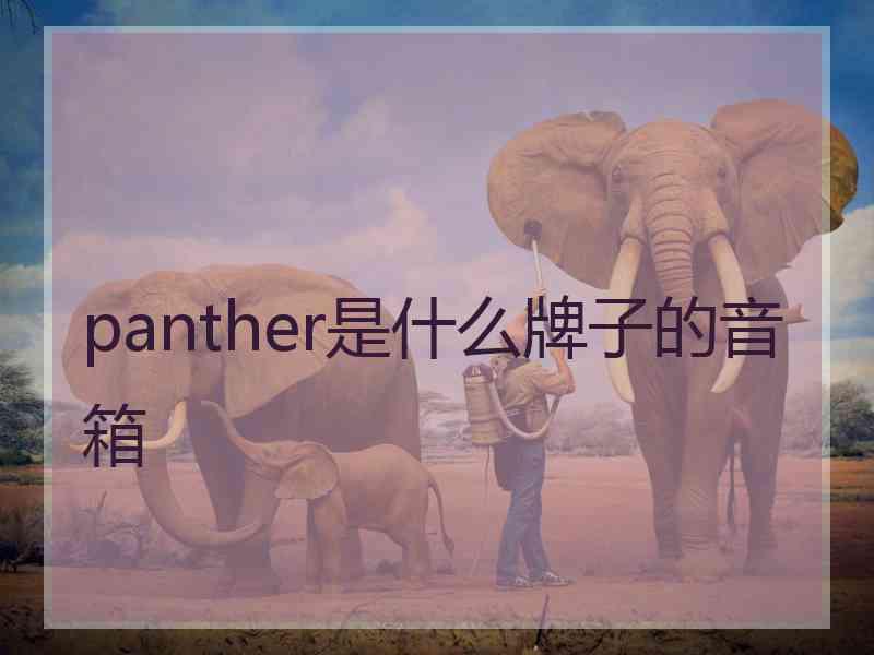 panther是什么牌子的音箱