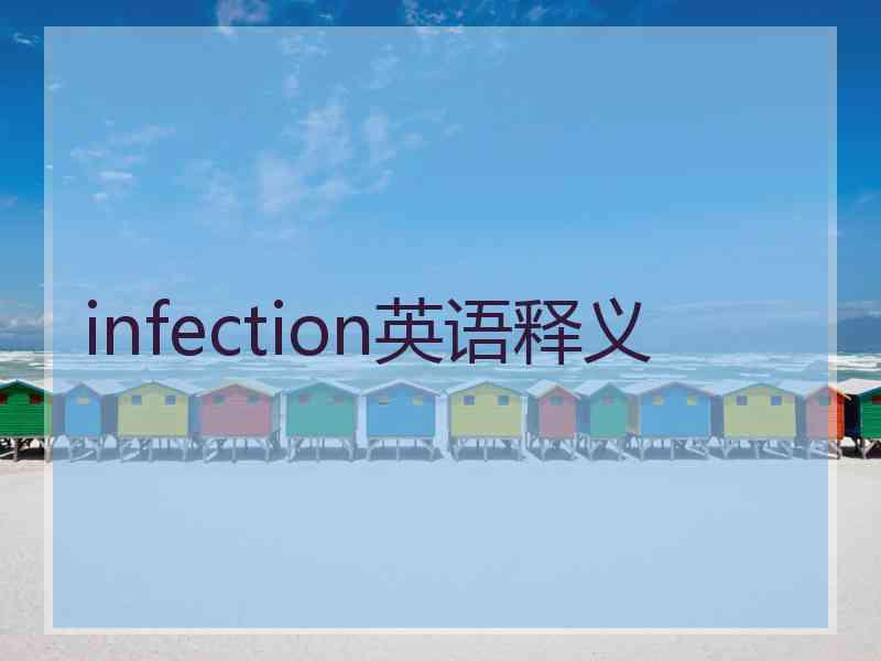 infection英语释义