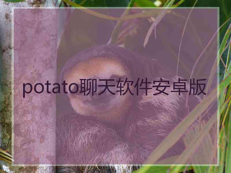 potato聊天软件安卓版