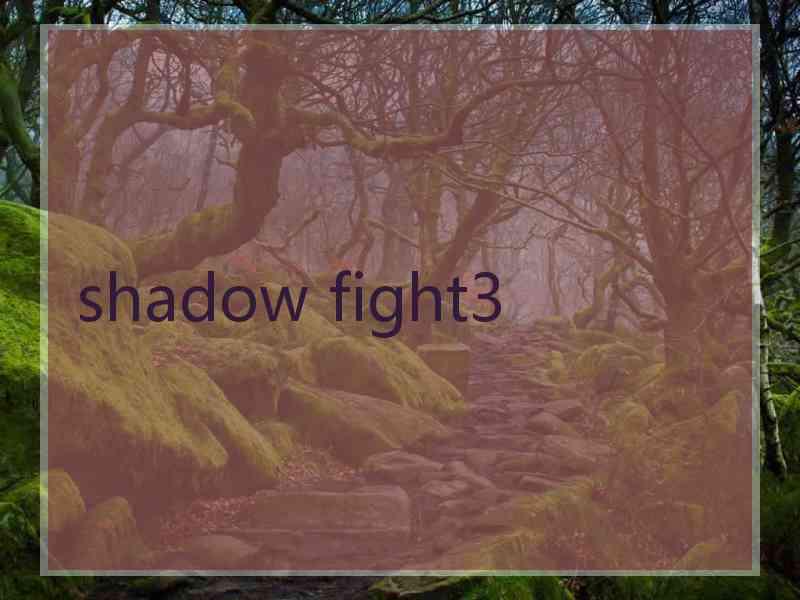 shadow fight3