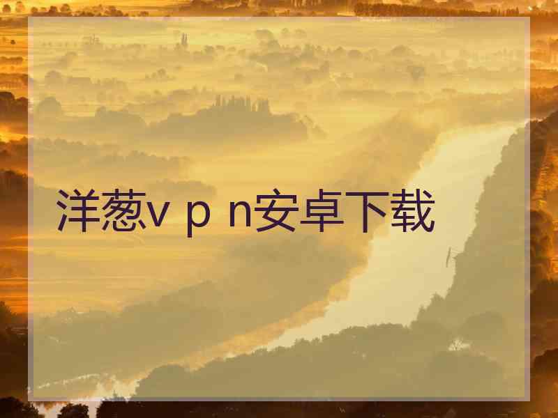 洋葱v p n安卓下载