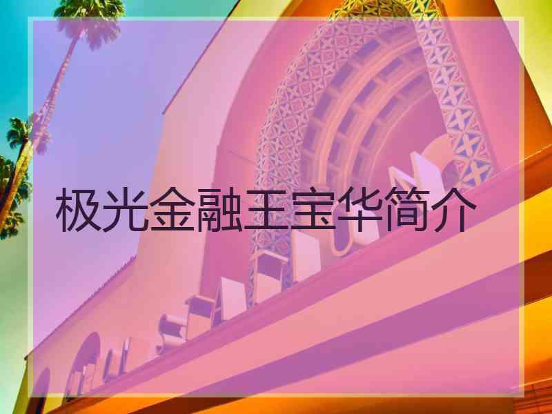 极光金融王宝华简介