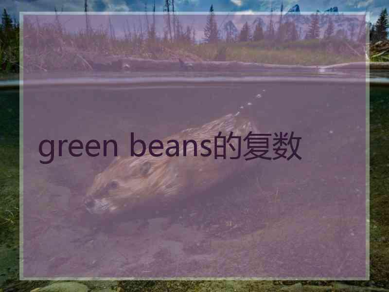 green beans的复数