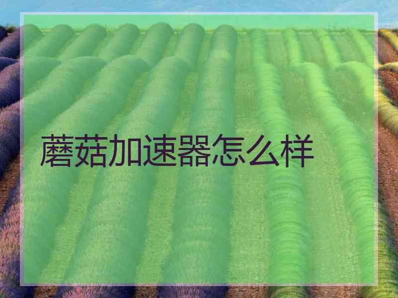 蘑菇加速器怎么样