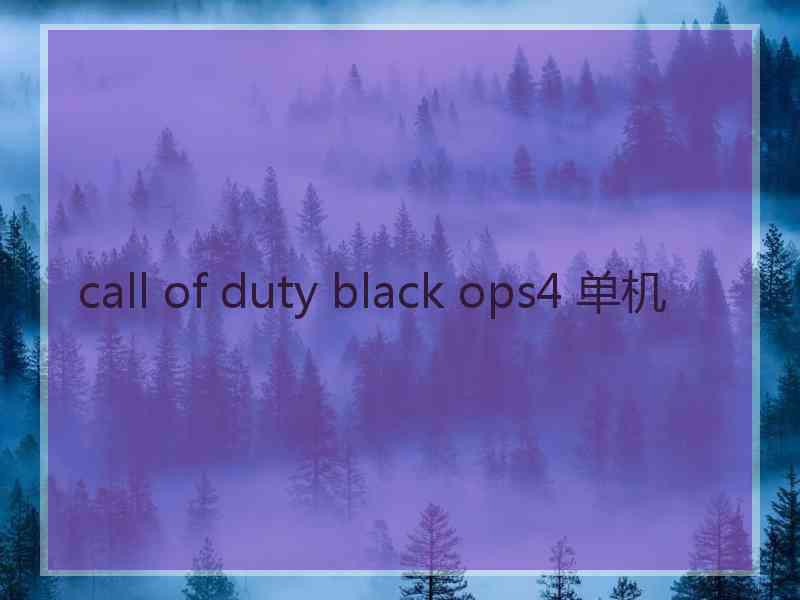 call of duty black ops4 单机