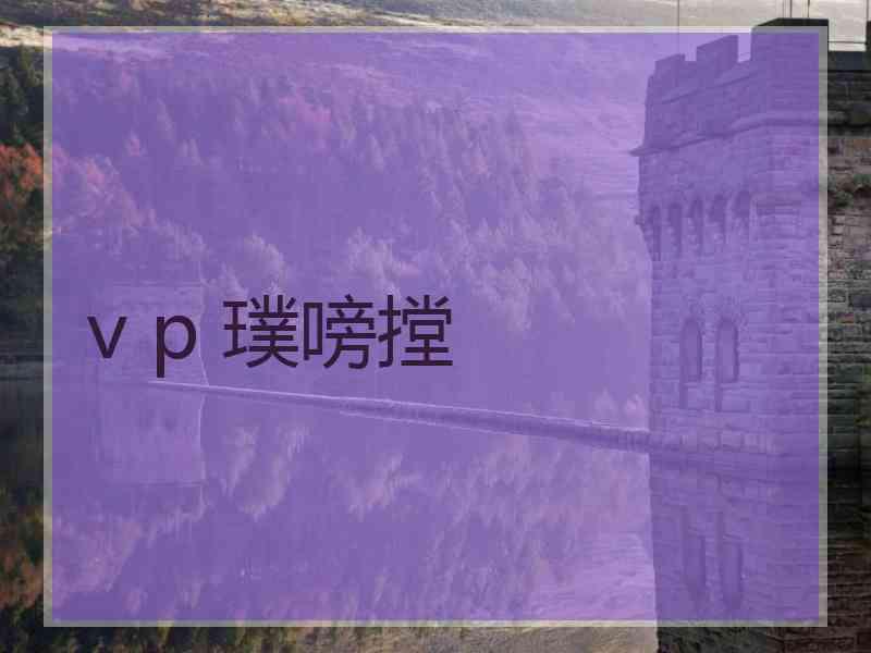 v p 璞嗙摚