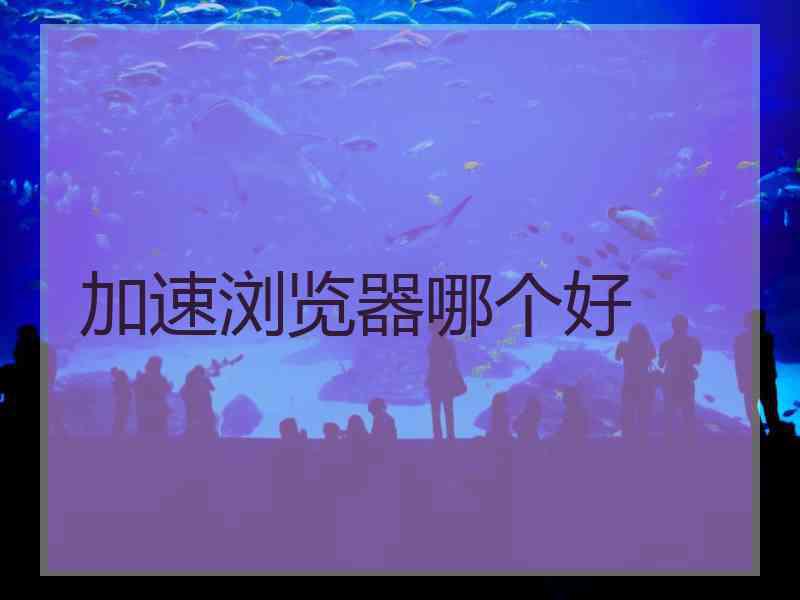 加速浏览器哪个好