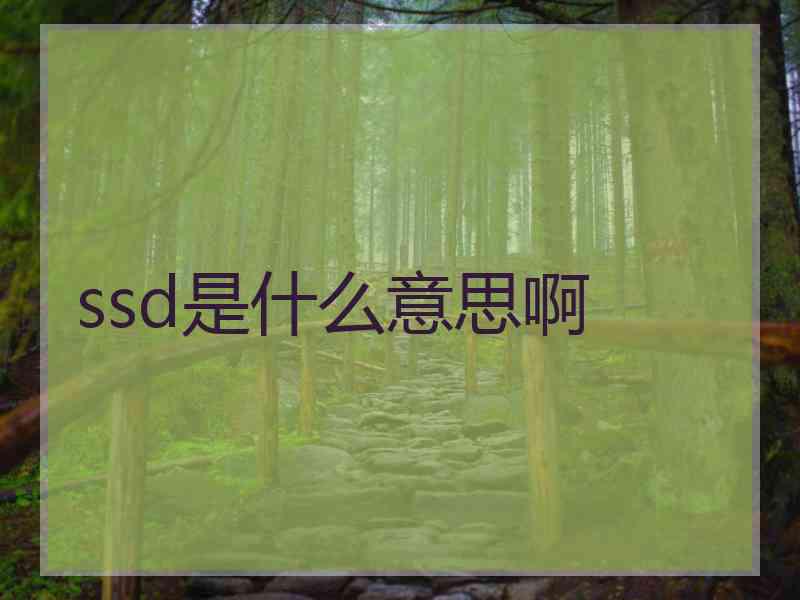 ssd是什么意思啊