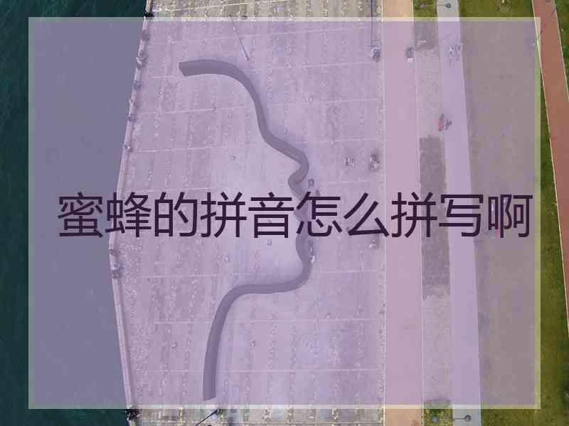 蜜蜂的拼音怎么拼写啊