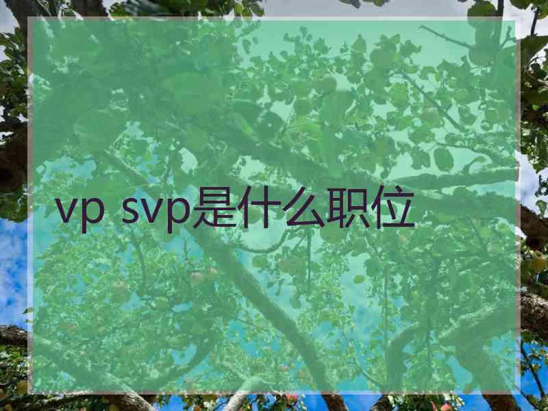 vp svp是什么职位