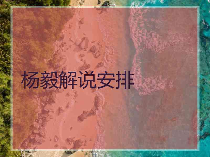 杨毅解说安排