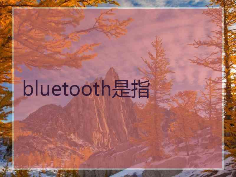 bluetooth是指