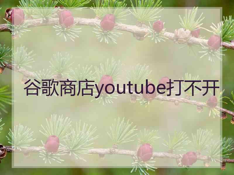 谷歌商店youtube打不开