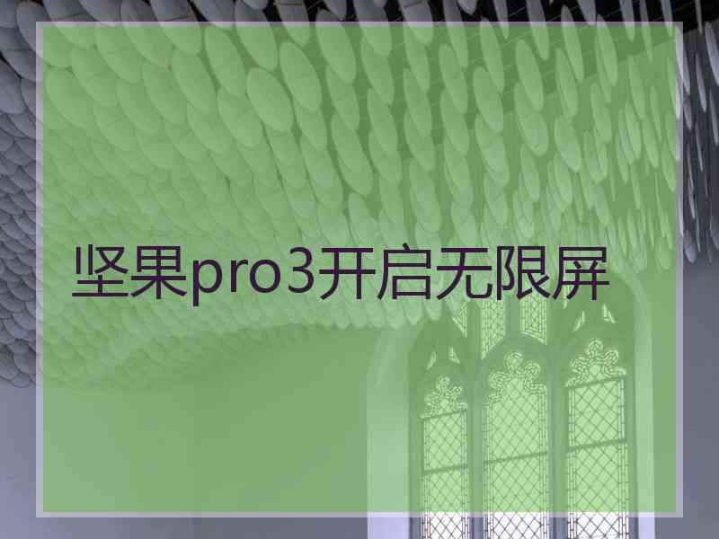 坚果pro3开启无限屏