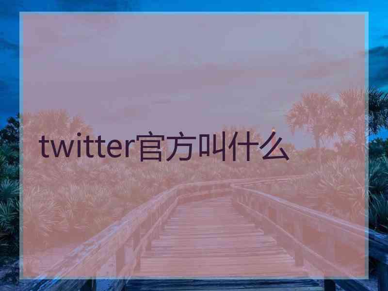 twitter官方叫什么