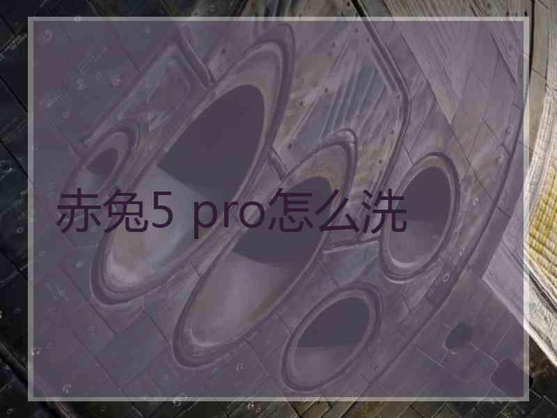 赤兔5 pro怎么洗