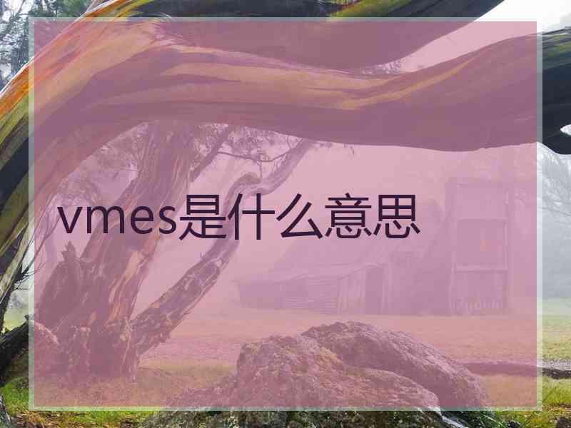 vmes是什么意思