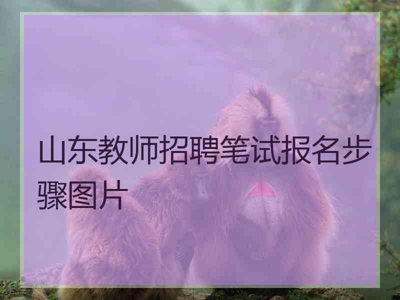 山东教师招聘笔试报名步骤图片