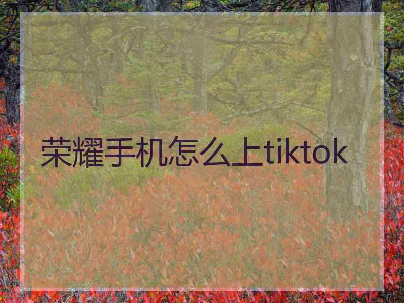 荣耀手机怎么上tiktok