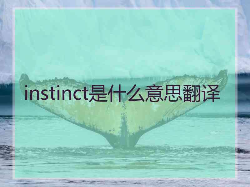 instinct是什么意思翻译