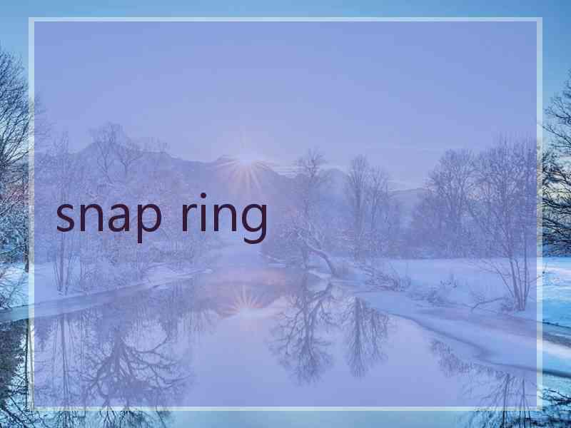 snap ring