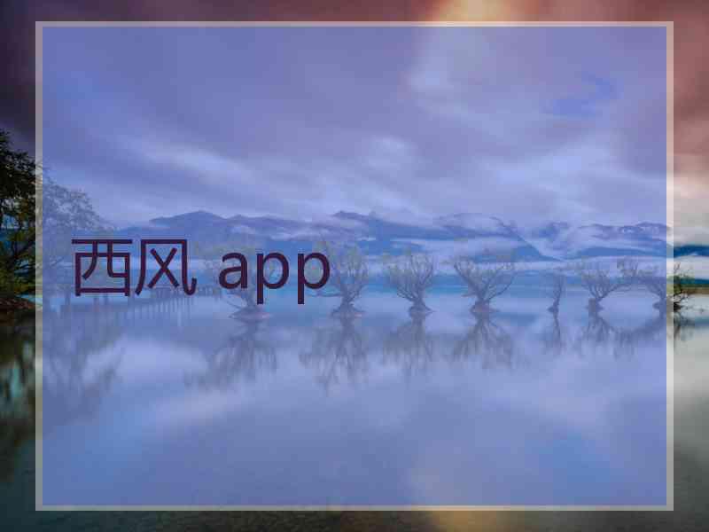 西风 app