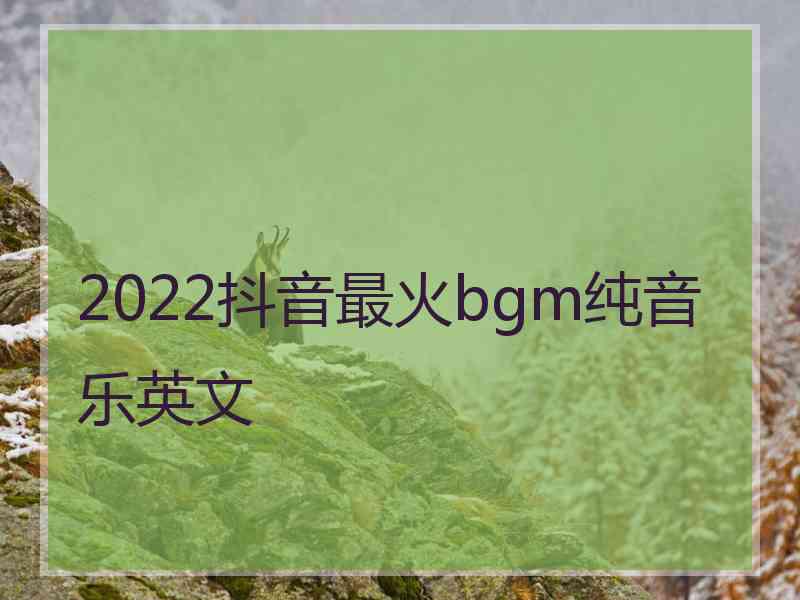 2022抖音最火bgm纯音乐英文